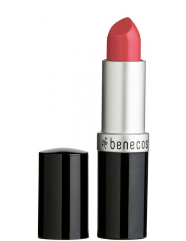 Rossetto Peach|Benecos|Wingsbeat