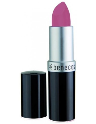 Rossetto Pink Rose|Benecos|Wingsbeat