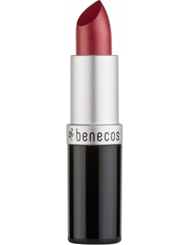 Rossetto Benecos|Wingsbeat