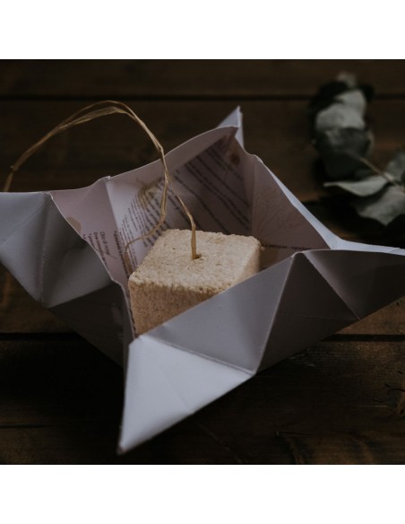 Maca delle Ande Shampoo e Balsamo Solido|Ethical Grace|Wingsbeat Maca delle Ande Shampoo e Balsamo Solido|Ethical Grace|Wingsbeat