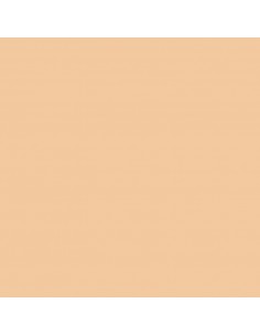 COLOR x SKIN Fondant Foundation|P|Wingsbeat 2