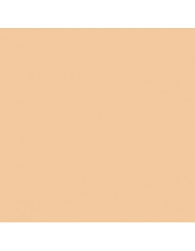 COLOR x SKIN Fondant Foundation|P|Wingsbeat COLOR x SKIN Fondant Foundation|P|Wingsbeat