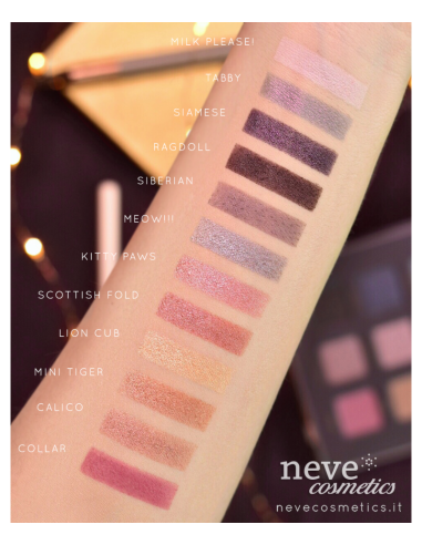Feline Dreams Palette Feline Dreams Palette