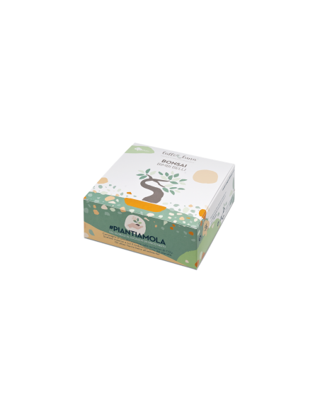 Confezione regalo piantamola - Bonsai|Wingsbeat