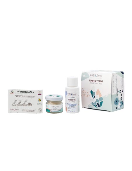 Confezione regalo piantamola - Sempreverde|Wingsbeat Confezione regalo piantamola - Sempreverde|Wingsbeat