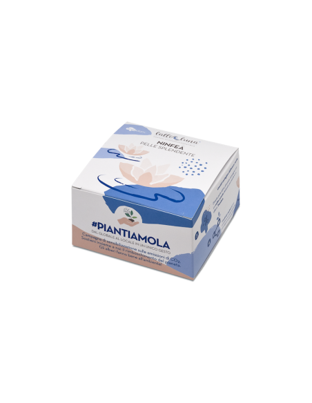 Confezione regalo piantamola - Ninfea Confezione regalo piantamola - Ninfea