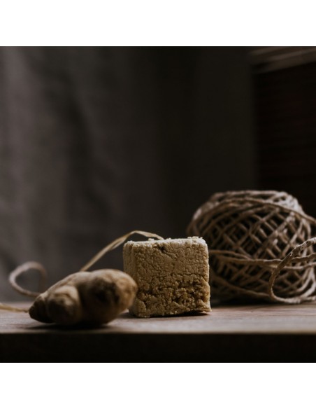 Gengevo Shampoo E Balsamo Solido 2 in 1|Ethical Grace|Wingsbeat Gengevo Shampoo E Balsamo Solido 2 in 1|Ethical Grace|Wingsbeat