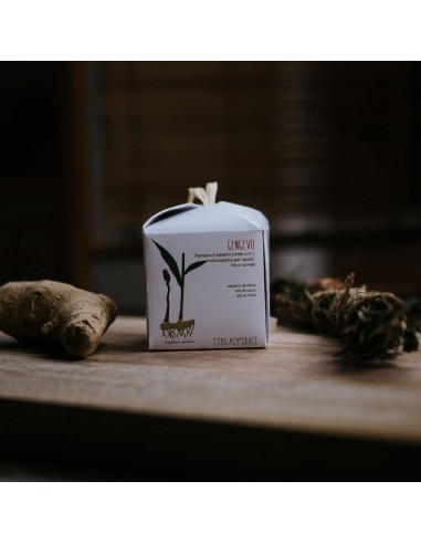 Gengevo Shampoo E Balsamo Solido 2 in 1|Ethical Grace|Wingsbeat Gengevo Shampoo E Balsamo Solido 2 in 1|Ethical Grace|Wingsbeat