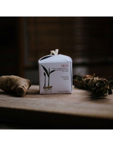 Gengevo Shampoo E Balsamo Solido 2 in 1|Ethical Grace|Wingsbeat Gengevo Shampoo E Balsamo Solido 2 in 1|Ethical Grace|Wingsbeat