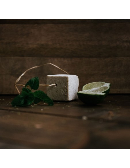 Lo Scacciaguai Shampoo E Balsamo Solido 2 in 1|Ethical Grace|Wingsbeat