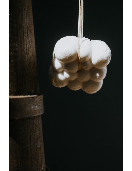 Piccoli Semi Bagno E Crema Doccia Solido Per Pelli Sensibili|Ethical Grace|Wingsbeat Piccoli Semi Bagno E Crema Doccia Solido Per Pelli Sensibili|Ethical Grace|Wingsbeat