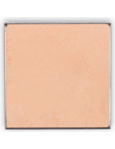 Refill Compact Powder 03 Cold Rose|Benecos|Wingsbeat