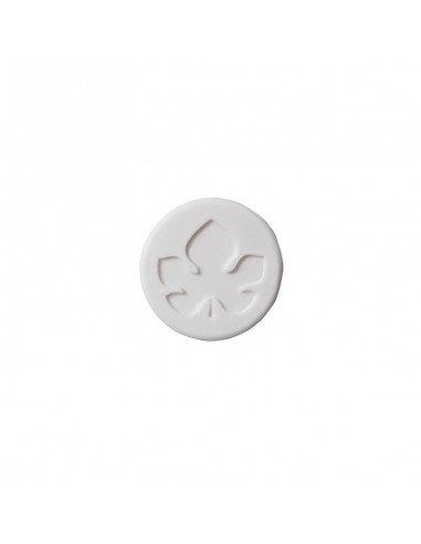 Solido Shampoo Doccia Con Finocchio|Biofficina Toscana|Wingsbeat Solido Shampoo Doccia Con Finocchio|Biofficina Toscana|Wingsbeat