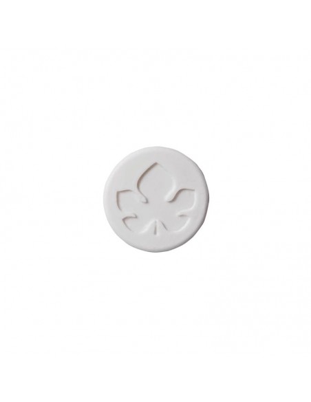 Solido Shampoo Doccia Con Finocchio|Biofficina Toscana|Wingsbeat Solido Shampoo Doccia Con Finocchio|Biofficina Toscana|Wingsbeat