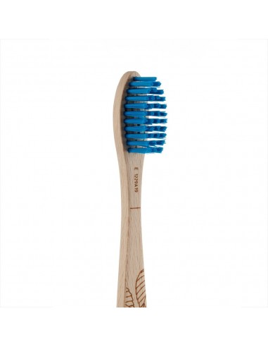 Spazzolino ecologico con setole Dure|Georganics|Wingsbeat Spazzolino ecologico con setole Dure|Georganics|Wingsbeat