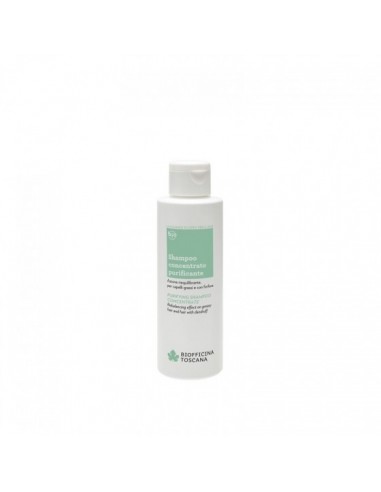 Shampoo Concentrato Purificante|Biofficina Toscana|Wingsbeat Shampoo Concentrato Purificante|Biofficina Toscana|Wingsbeat