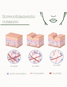 Ecofermentato Attivatore|La Saponaria| Wingsbeat 2