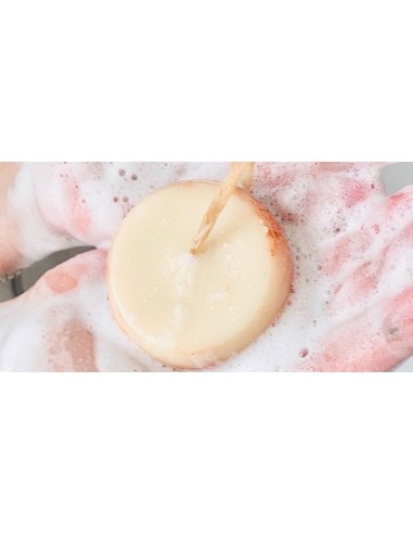 Shampoo + Balsamo Nutrienti | Online su Wingsbeat Shampoo + Balsamo Nutrienti | Online su Wingsbeat