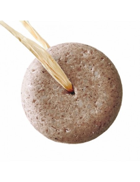 Shampoo + Balsamo Stimolanti | Online su Wingsbeat Shampoo + Balsamo Stimolanti | Online su Wingsbeat