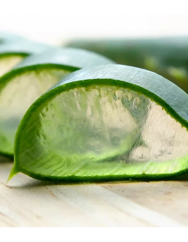 Detergenti Detox | Online su Wingsbeat