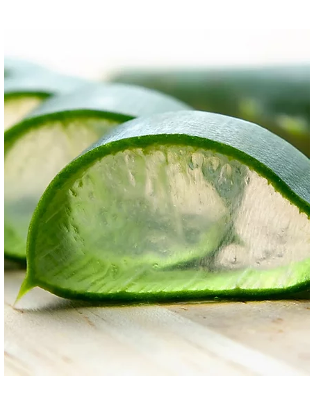 Detergenti Detox | Online su Wingsbeat