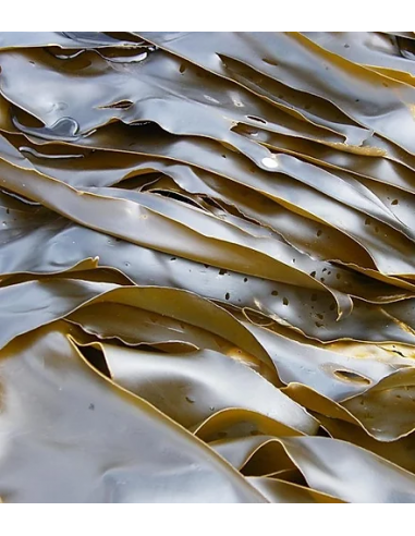 Detergenti Scrub Rigeneranti | Online su Wingsbeat