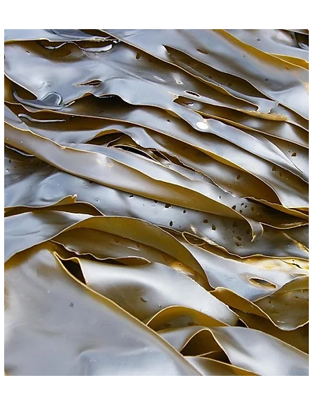 Detergenti Scrub Rigeneranti | Online su Wingsbeat