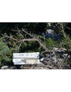 Saponetta Da Campo Con Astuccio Stone Paper 25 mg|Insula|Wingsbeat 2