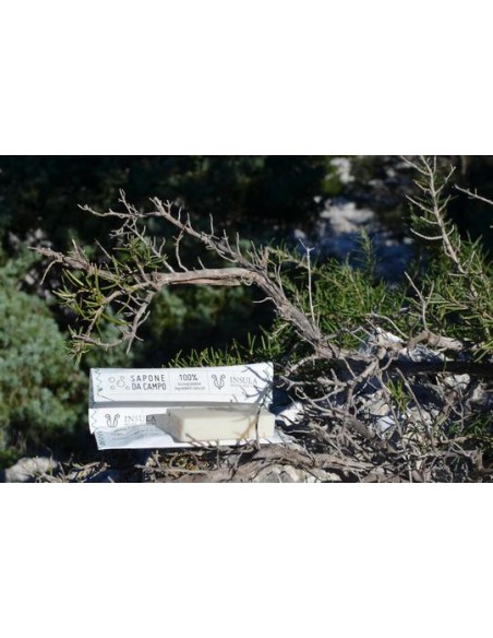 Saponetta Da Campo Con Astuccio Stone Paper 25 mg|Insula|Wingsbeat