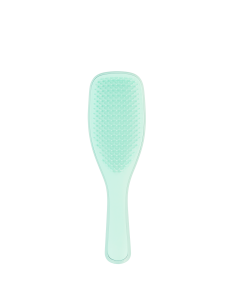 The Wet Detangler Fine & Fragile Mint|Tangle Teezer|Wingsbeat