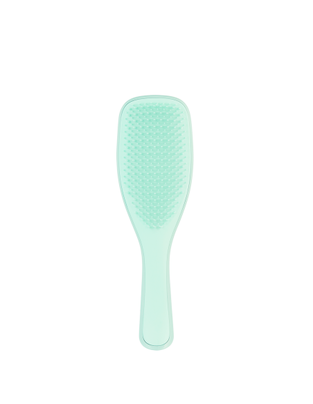 The Wet Detangler Fine & Fragile Mint|Tangle Teezer|Wingsbeat The Wet Detangler Fine & Fragile Mint|Tangle Teezer|Wingsbeat