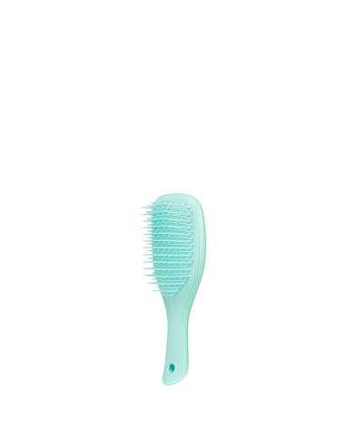 The Wet Detangler Mini Mint|Tangle Teezer|Wingsbeat