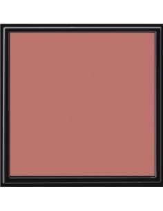 Velvet Blush n.01 | Acquista su Wingsbeat 2