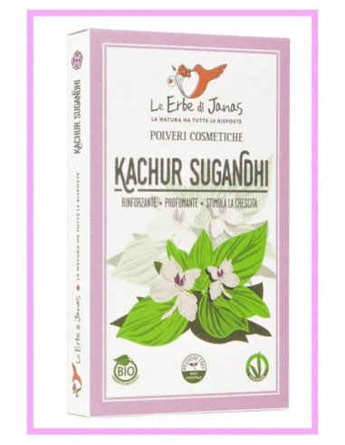 Kachur Sugandhi|Le Erbe di Janas|Wingsbeat Kachur Sugandhi|Le Erbe di Janas|Wingsbeat