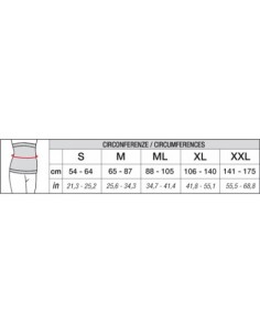 Abdominal Band Noisette|Solidea|Wingsbeat 2