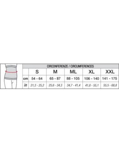 Abdominal Band Noisette|Solidea|Wingsbeat