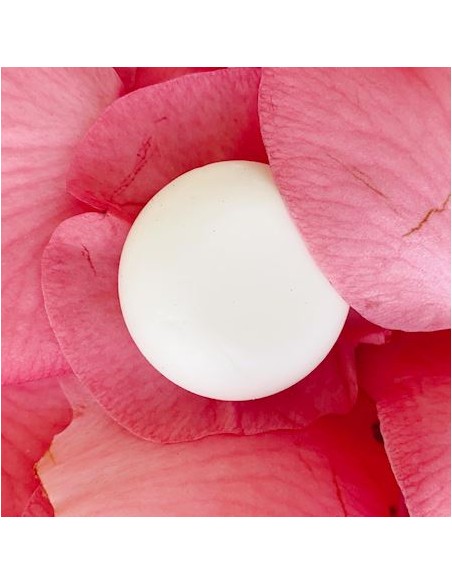 Siero Viso Solido Purificante | Senso Naturale | Wingsbeat