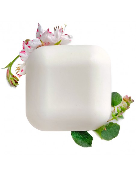 Olio Corpo Solido Sollievo Dopo sSole | Senso Naturale | Wingsbeat Olio Corpo Solido Sollievo Dopo sSole | Senso Naturale | Wingsbeat