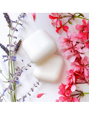 Olio Corpo Solido Sollievo Dopo sSole | Senso Naturale | Wingsbeat Olio Corpo Solido Sollievo Dopo sSole | Senso Naturale | Wingsbeat