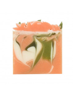 Balsamo Doccia Mango E Pitaya | Senso Naturale | Wingsbeat 2