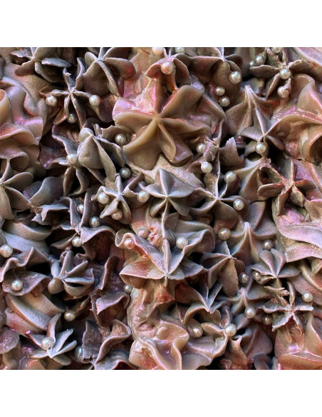 Balsamo Doccia Doppio Cioccolato | SensoNaturale | Wingsbeat Balsamo Doccia Doppio Cioccolato | SensoNaturale | Wingsbeat