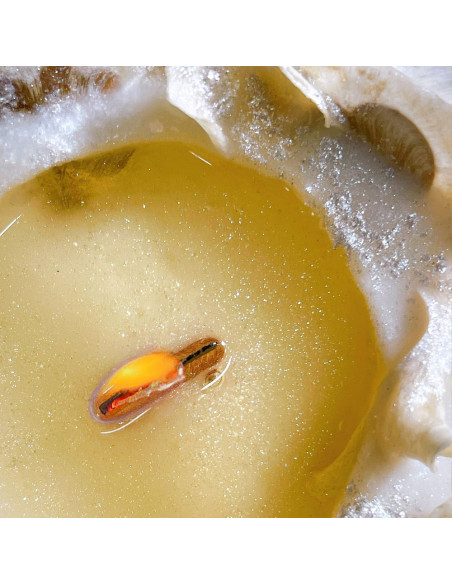 Candela di Soia Profumata Fiori d'Inverno | Senso Naturale | Wingsbeat Candela di Soia Profumata Fiori d'Inverno | Senso Naturale | Wingsbeat