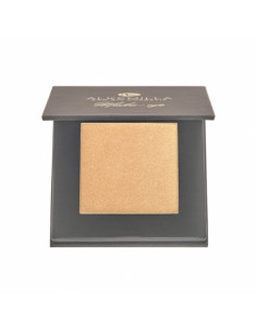 Illuminante Platinum Glow 02 | Alkemilla | Wingsbeat