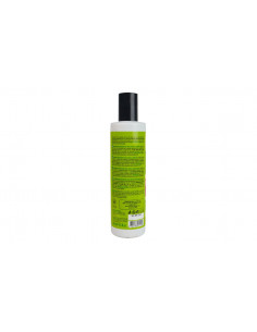 Shampoo Ristrutturante Avocado e Oliva | Organic Shop | Wingsbeat 2