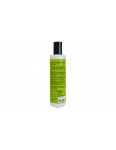 Shampoo Ristrutturante Avocado e Oliva | Organic Shop | Wingsbeat Shampoo Ristrutturante Avocado e Oliva | Organic Shop | Wingsbeat