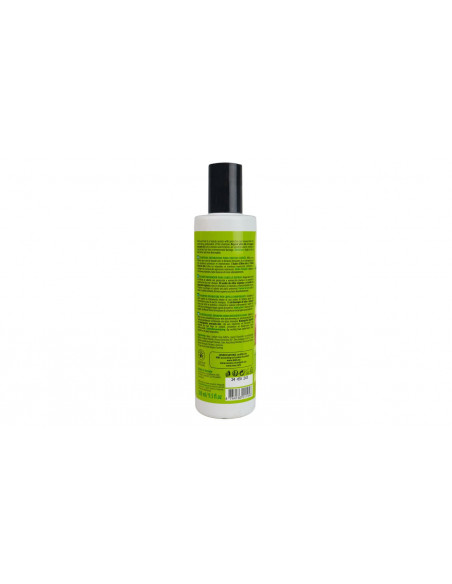 Shampoo Ristrutturante Avocado e Oliva | Organic Shop | Wingsbeat Shampoo Ristrutturante Avocado e Oliva | Organic Shop | Wingsbeat