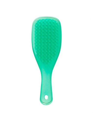 TT Wet Detangler Mini Green Lizard | Tangle Teezer | Wingsbeat