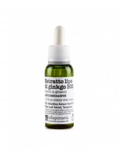 Estratto Liposolubile Di Ginkgo | La Saponaria | Wingsbeat