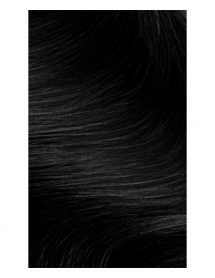 Tinta Capelli 1.0 Nero | FlowerTint | Wingsbeat 2