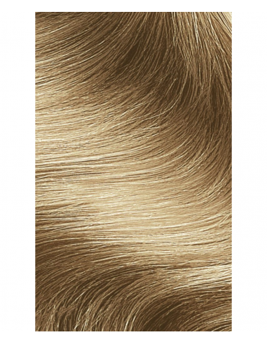 Tinta Capelli 8.0 Biondo Chiaro | FlowerTint | Wingsbeat Tinta Capelli 8.0 Biondo Chiaro | FlowerTint | Wingsbeat